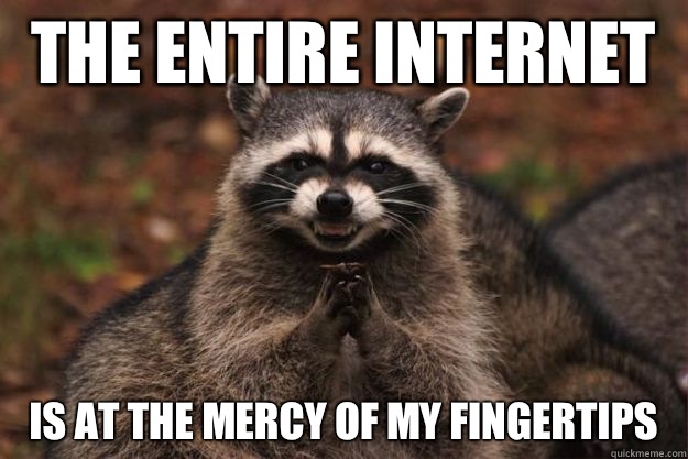 The entire Internet  Is at the mercy of my fingertips  Evil Plotting Raccoon