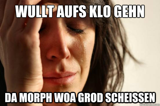 Wullt aufs klo gehn da morph woa grod scheissen  First World Problems