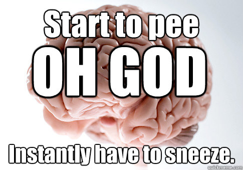 Start to pee Instantly have to sneeze. OH GOD  Scumbag Brain