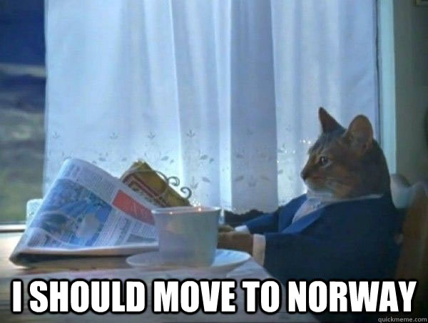  i should move to norway  morning realization newspaper cat meme