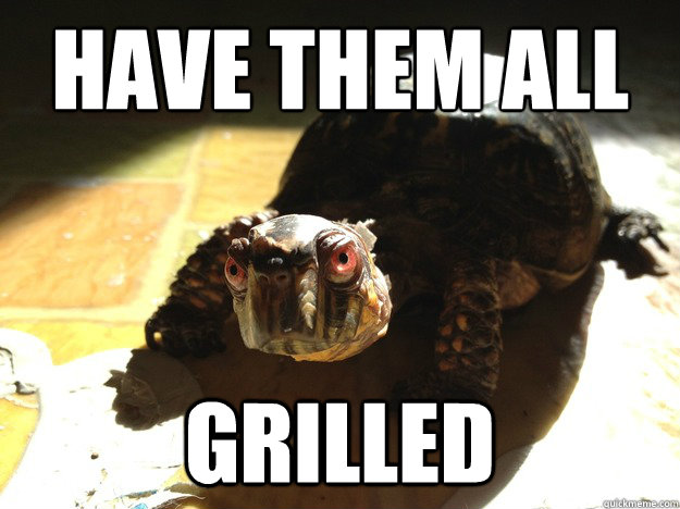 HAVE THEM ALL GRILLED  Boss Turtle