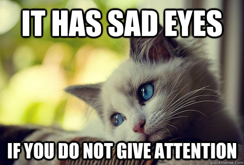 It HAS SAD EYES IF YOU DO NOT GIVE ATTENTION  First World Problems Cat