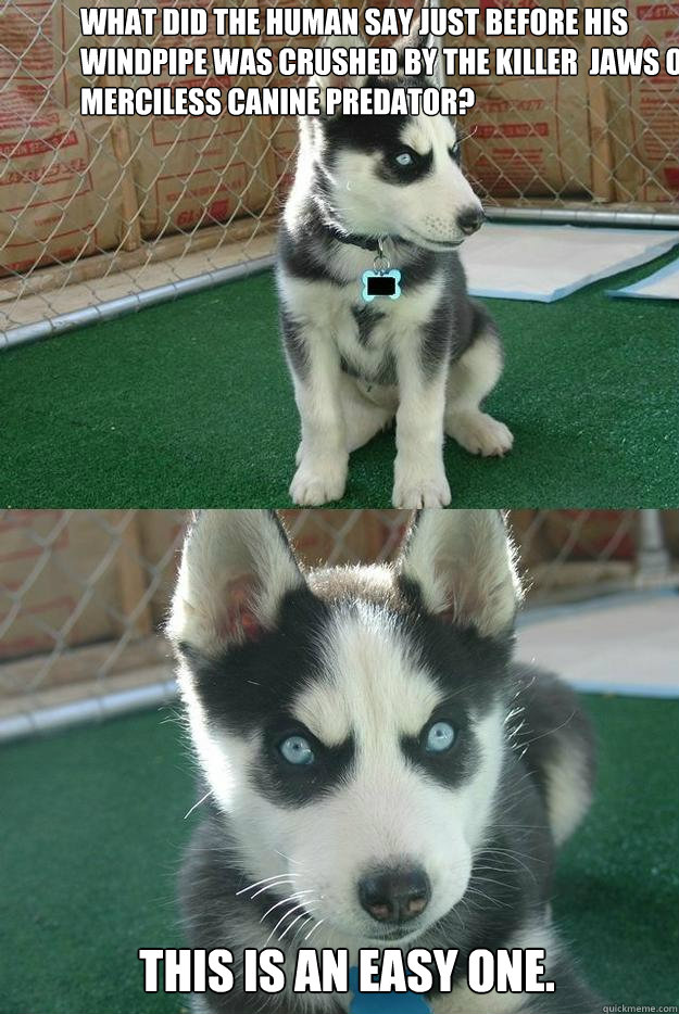 What did the human say just before his windpipe was crushed by the killer  jaws of a merciless canine predator? This is an easy one.  Insanity puppy