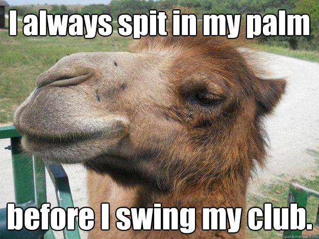 I always spit in my palm before I swing my club.  Cunning Linguist Camel