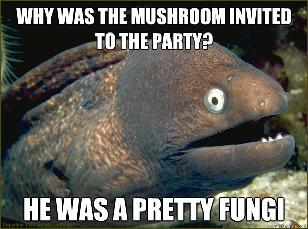 Why was the mushroom invited to the party? he was a pretty fungi  Bad Joke Eel