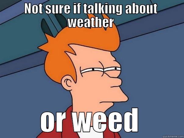 NOT SURE IF TALKING ABOUT WEATHER OR WEED Futurama Fry