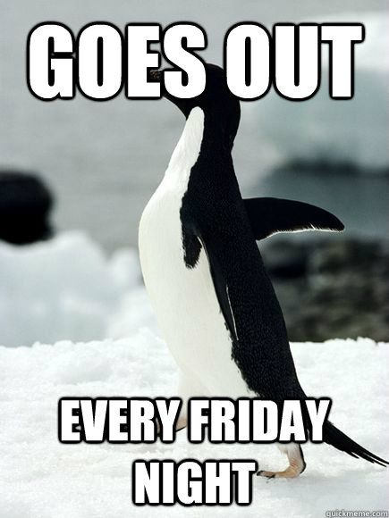 Goes out Every friday night - Goes out Every friday night  Socially Adequate Penguin