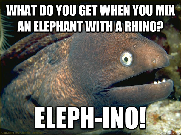 What do you get when you mix an elephant with a rhino? eleph-ino!  Bad Joke Eel