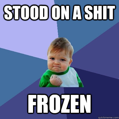 stood on a shit frozen  Success Kid