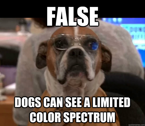 False Dogs can see a limited color spectrum  
