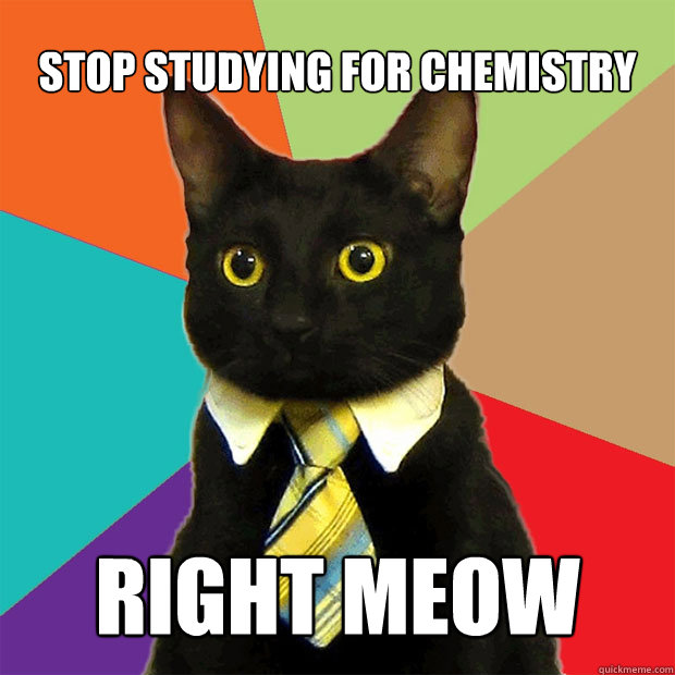 Stop studying for Chemistry right MEOW  Business Cat