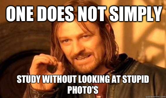 one does not simply Study without looking at stupid photo's  Lord of The Rings meme