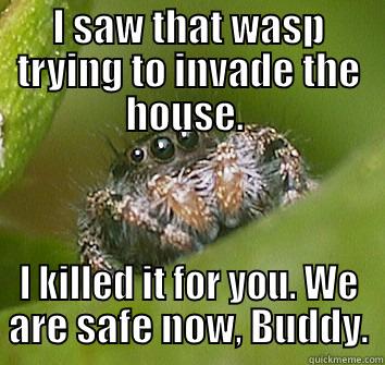 I SAW THAT WASP TRYING TO INVADE THE HOUSE.  I KILLED IT FOR YOU. WE ARE SAFE NOW, BUDDY. Misunderstood Spider