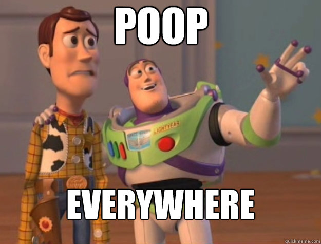 POOP EVERYWHERE - POOP EVERYWHERE  Toy Story