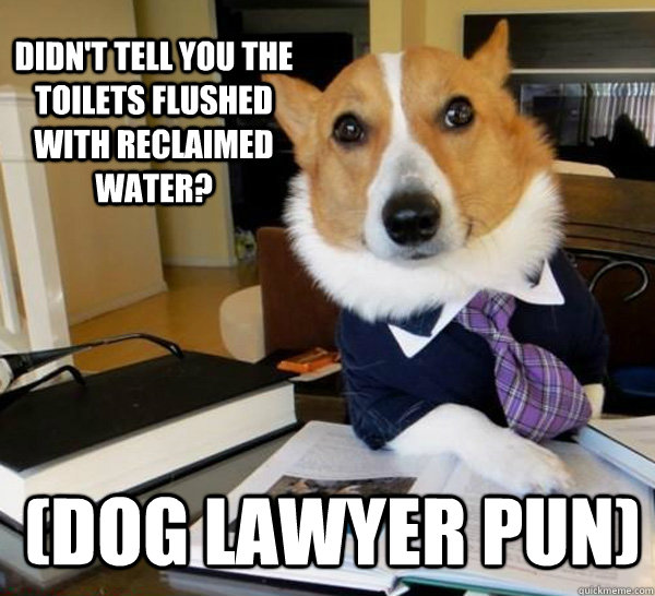 Didn't tell you the toilets flushed with reclaimed water? (dog lawyer pun)  Lawyer Dog