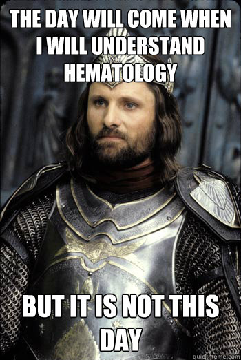 the day will come when i will understand hematology But it is not this day  