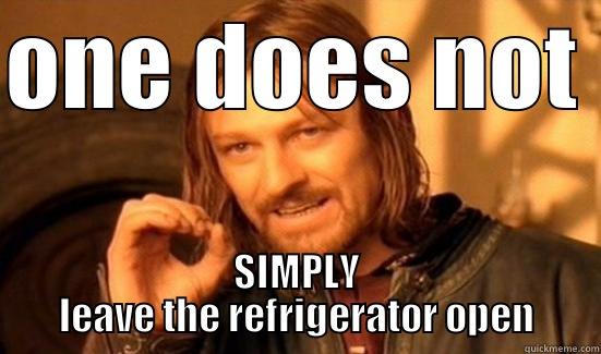 ONE DOES NOT  SIMPLY LEAVE THE REFRIGERATOR OPEN Boromir