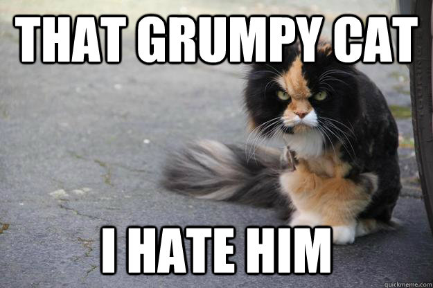 That Grumpy Cat I Hate Him  