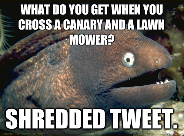 What do you get when you cross a canary and a lawn mower? Shredded Tweet. - What do you get when you cross a canary and a lawn mower? Shredded Tweet.  Bad Joke Eel