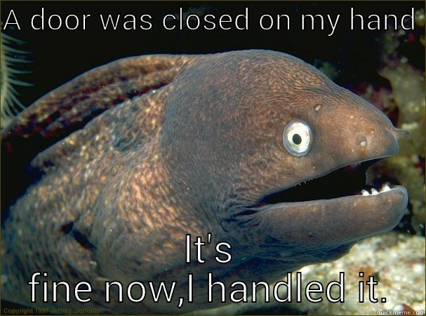 A DOOR WAS CLOSED ON MY HAND  IT'S FINE NOW,I HANDLED IT. Bad Joke Eel