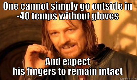 Frostbite bits - ONE CANNOT SIMPLY GO OUTSIDE IN -40 TEMPS WITHOUT GLOVES AND EXPECT HIS FINGERS TO REMAIN INTACT Boromir