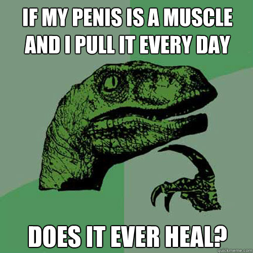 if my penis is a muscle and I pull it every day does it ever heal? - if my penis is a muscle and I pull it every day does it ever heal?  Philosoraptor