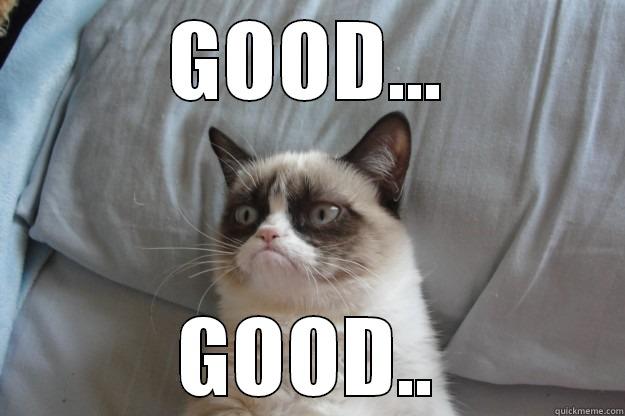 GOOD... GOOD.. Grumpy Cat