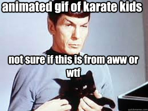 animated gif of karate kids not sure if this is from aww or wtf - animated gif of karate kids not sure if this is from aww or wtf  confused spock