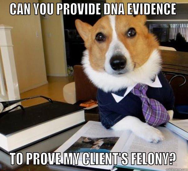 CAN YOU PROVIDE DNA EVIDENCE TO PROVE MY CLIENT'S FELONY? Lawyer Dog