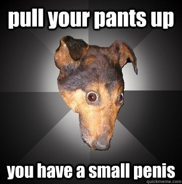 pull your pants up you have a small penis  Depression Dog