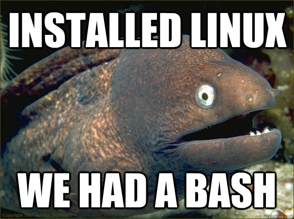 Installed linux We had a bash - Installed linux We had a bash  Bad Joke Eel