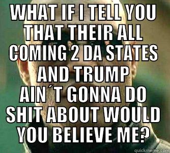 WHAT IF I TELL YOU THAT THEIR ALL COMING 2 DA STATES AND TRUMP AIN´T GONNA DO SHIT ABOUT WOULD YOU BELIEVE ME? Matrix Morpheus