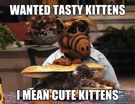 Wanted Tasty kittens I mean cute kittens  