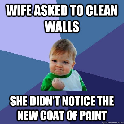 wife asked to clean walls she didn't notice the new coat of paint  Success Kid