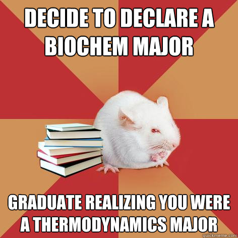 Decide to declare a biochem major Graduate realizing you were a thermodynamics major - Decide to declare a biochem major Graduate realizing you were a thermodynamics major  Science Major Mouse