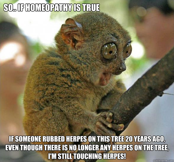 So.. if homeopathy is true If someone rubbed herpes on this tree 20 years ago, even though there is no longer any herpes on the tree, I'm still touching herpes!  Sudden Clarity Tarsier