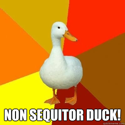  non sequitor duck!  Tech Impaired Duck