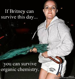 If Britney can 
survive this day... you can survive
organic chemistry.  Motivational Britney