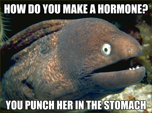 How do you make a hormone? You punch her in the stomach  Bad Joke Eel