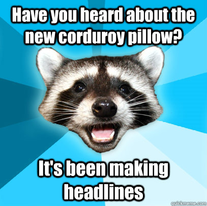 Have you heard about the new corduroy pillow? It's been making headlines  Lame Pun Coon