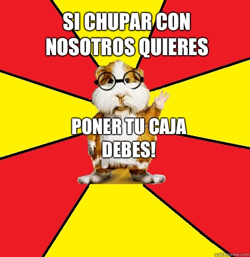 Si chupar con nosotros quieres Poner tu caja debes!  Cuy Magico