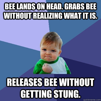 Bee lands on head. Grabs bee without realizing what it is. Releases bee without getting stung.  Success Kid