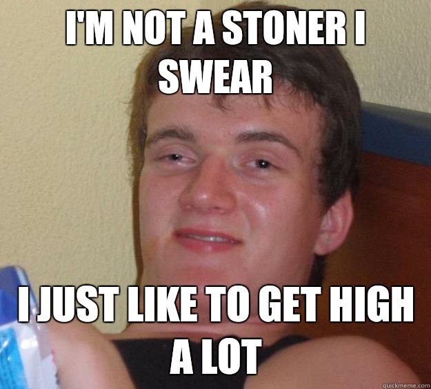 I'm not a stoner I swear I just like to get high a lot  10 Guy