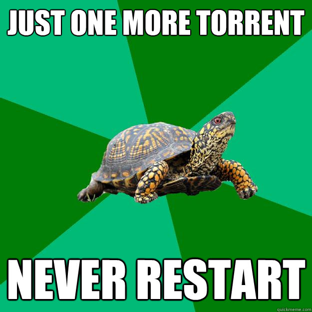just one more torrent never restart  Torrenting Turtle