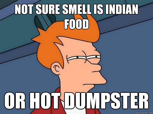 Not sure smell is indian food Or hot dumpster  Futurama Fry