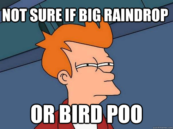 Not sure if big raindrop Or bird poo  Futurama Fry