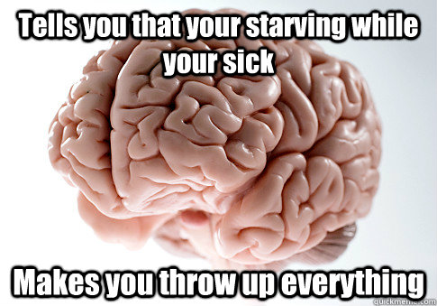 Tells you that your starving while your sick Makes you throw up everything  Scumbag Brain