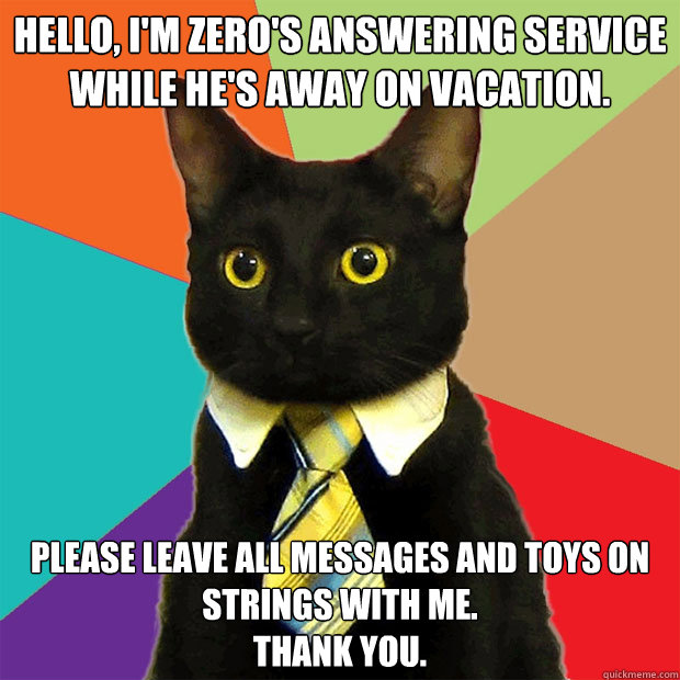 Hello, I'm Zero's answering service while he's away on vacation. Please leave all messages and toys on strings with me.
Thank You.  Business Cat