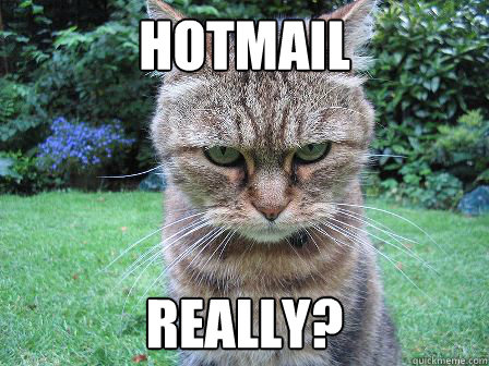 hotmail really? - hotmail really?  disapproving cat