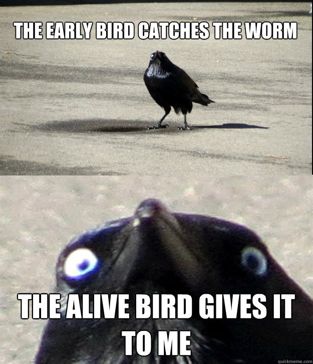 The early bird catches the worm The alive bird gives it to me - The early bird catches the worm The alive bird gives it to me  Insanity Crow